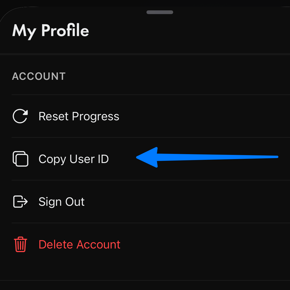 Profilbildschirm mit der Schaltfläche Copy User ID